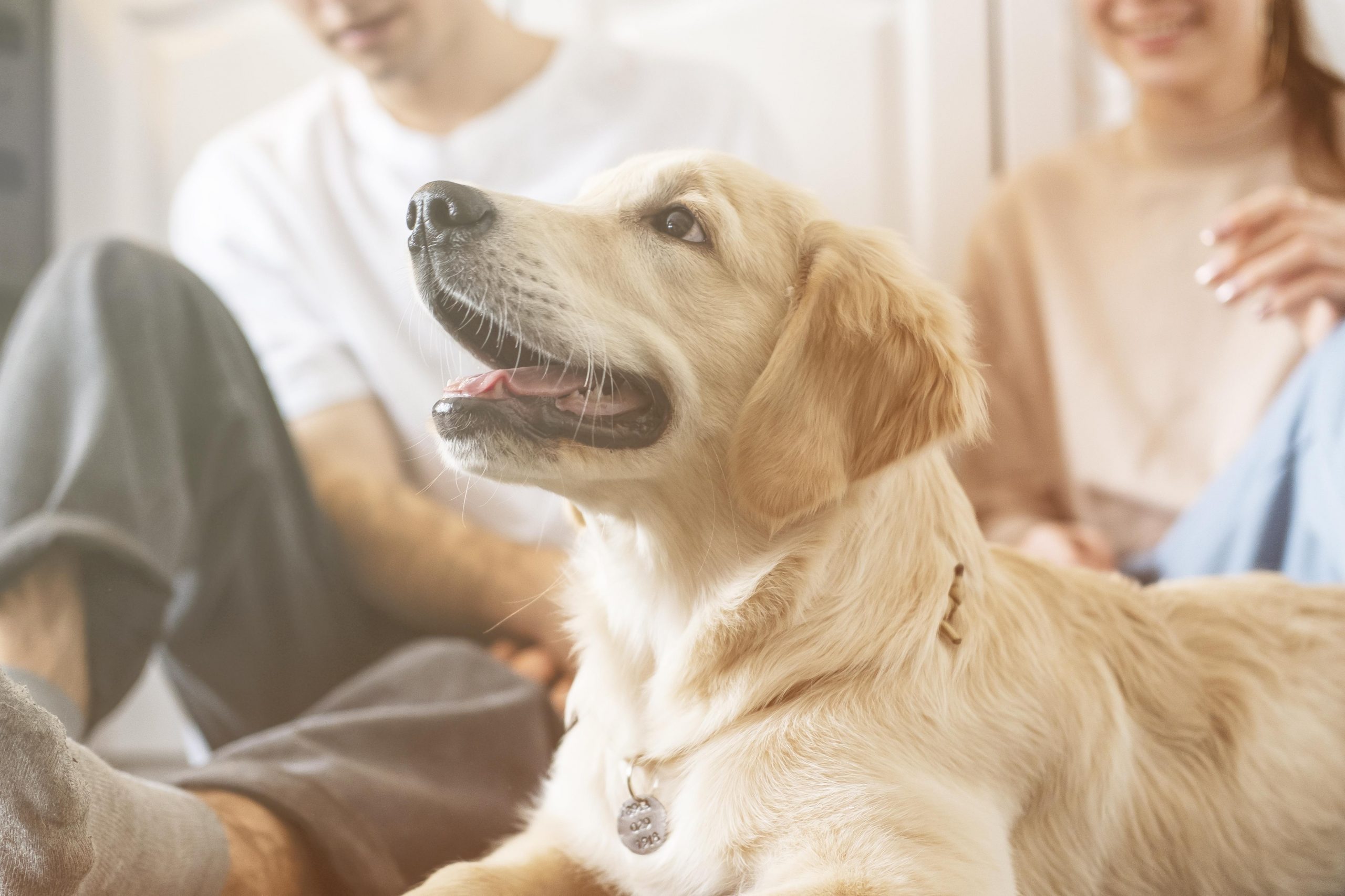 close-up-couple-with-dog-indoors-1.jpg